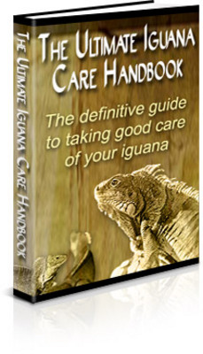 Product picture Iguana Pet Care eBook Resale Rights