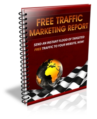 Product picture Free Website Traffic Brandable eBook